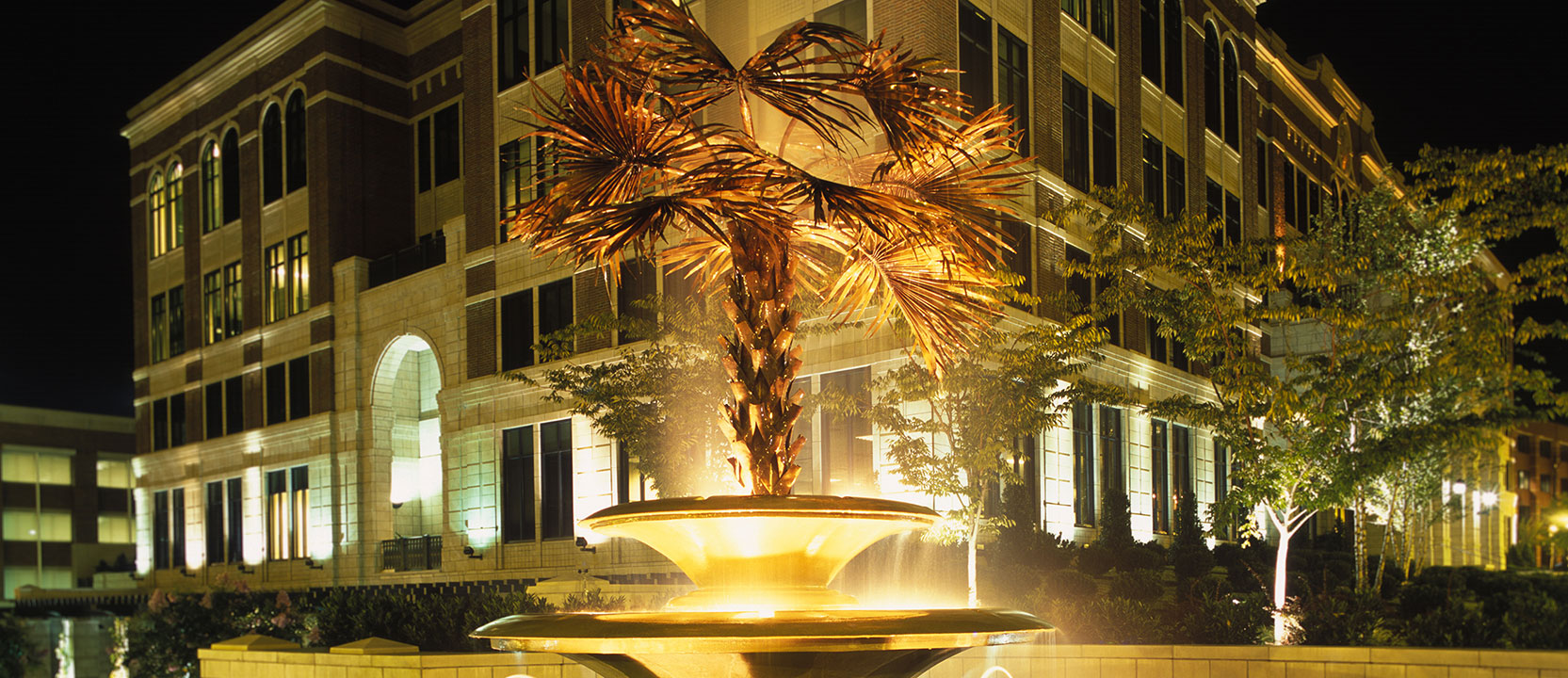 Civil Litigation Appellate Law Practice